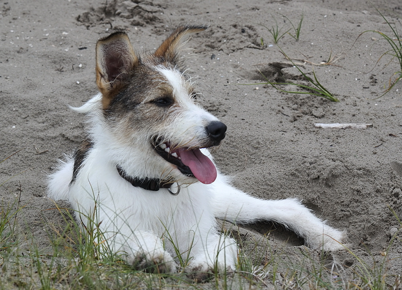 1 -- Felix Holland 6 - 2013 _SAM_2210 als Smart-Objekt-1 Kopie.jpg